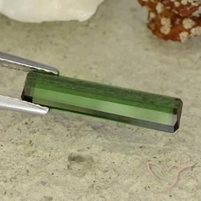 Tourmaline Gemstone in 16.2 x 3.8 mm Size for Sale, Tourmaline Stone in Forest Green Color
