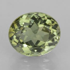Forest Green Tourmaline Gem - 1.1ct Oval Facet (ID: 501542)