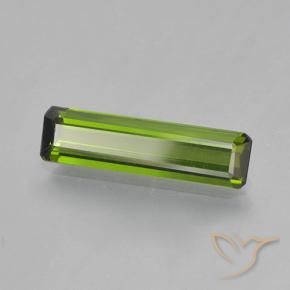1.45 ct Green Tourmaline Stone, Natural Tourmaline in Octagon Step Cut Shape for Sale