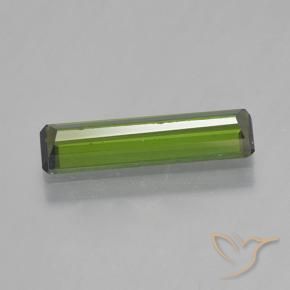 Tourmaline Gemstone in 14.8 x 3.9 mm Size for Sale, Tourmaline Stone in Seaweed Green Color
