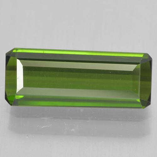 Dark Green Tourmaline Gem - 1.4ct Octagon Step Cut (ID: 501607)
