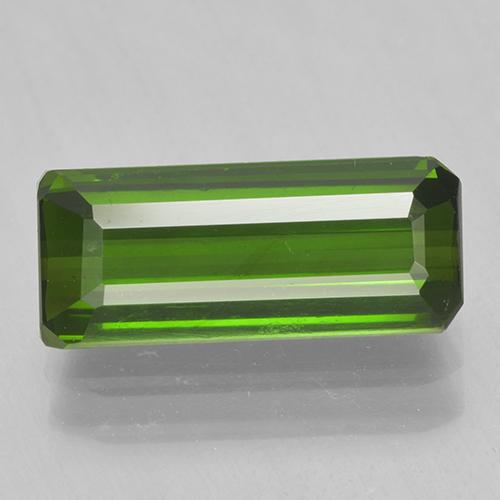 Medium Green Tourmaline Gem - 1.8ct Octagon Step Cut (ID: 501612)