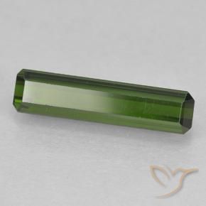 1.62 ct Green Tourmaline Stone, Natural Tourmaline in Octagon Step Cut Shape for Sale