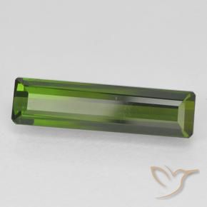 1.71 ct Green Tourmaline Stone, Natural Tourmaline in Octagon Step Cut Shape for Sale