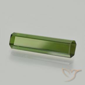 1.60 ct Green Tourmaline Stone, Natural Tourmaline in Octagon Step Cut Shape for Sale