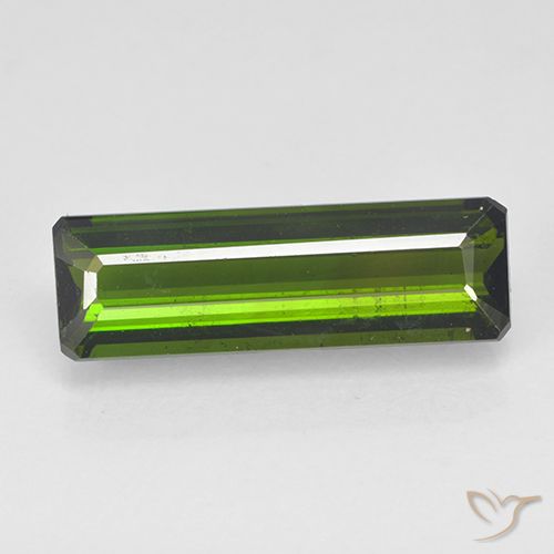 2.71 ct Loose Green Tourmaline, 15.7 x 5 mm Octagon Cut From Mozambique, Photo A