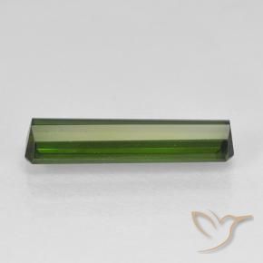 Tourmaline Gemstone in 14.7 x 3.7 mm Size for Sale, Tourmaline Stone in Dark Green Color