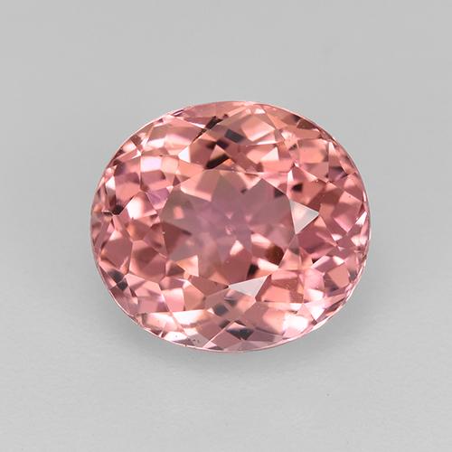 Bubblegum Pink Turmalin Edelstein - 1.9ct Oval facettiert (ID: 522269)