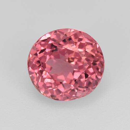 Tono rosado cálido Turmalina Gema - 1.9ct Forma ovalada (ID: 522270)