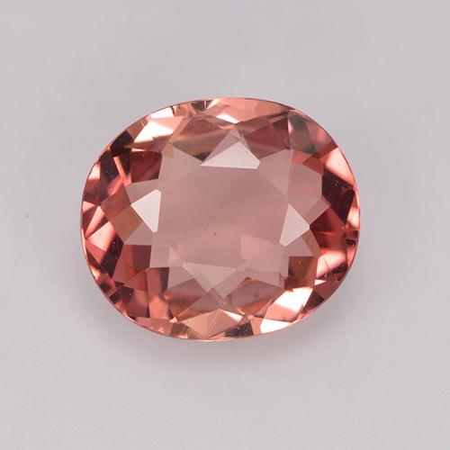 Light Red Tourmaline Gem - 1.5ct Oval Facet (ID: 523194)