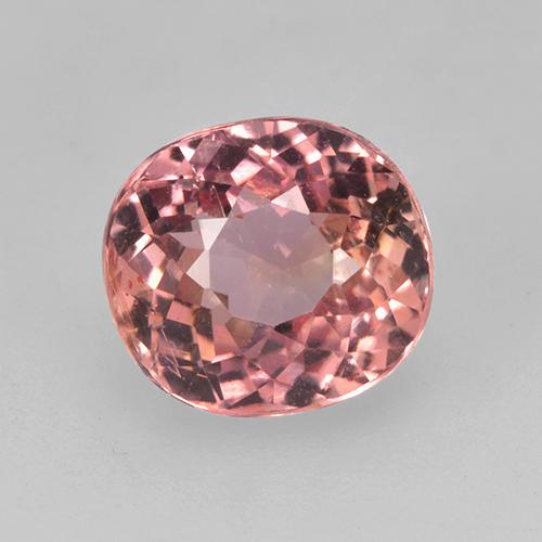 Rosado naranja Turmalina Gema - 1.9ct Forma ovalada (ID: 524921)