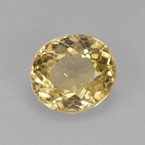 Rich Yellow Turmalin Edelstein - 1.6ct Oval facettiert (ID: 525284)