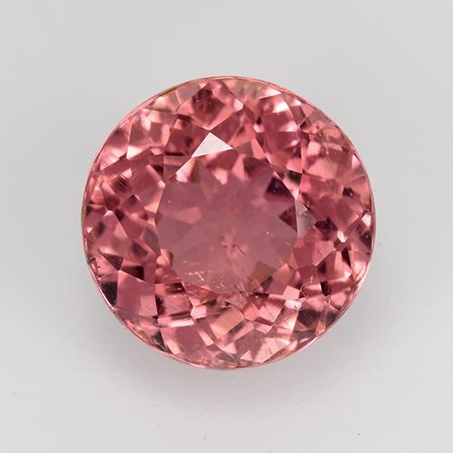 Rosado medio Turmalina Gema - 3.5ct Corte Portuguesa Redondo (ID: 528165)