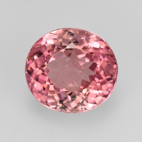 Rojo oscuro Turmalina Gema - 3.2ct Forma ovalada (ID: 528167)