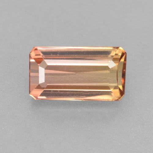 Zweifarbig Turmalin Edelstein - 0.9ct Oktagon facettiert (ID: 537536)