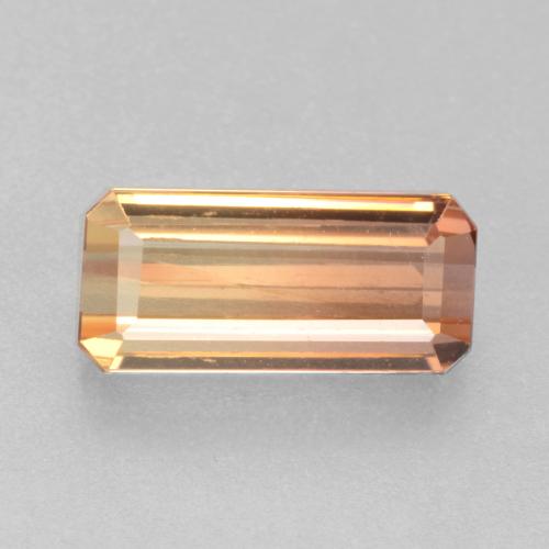 Bi-color Tourmaline Gem - 1.4ct Octagon Facet (ID: 537573)