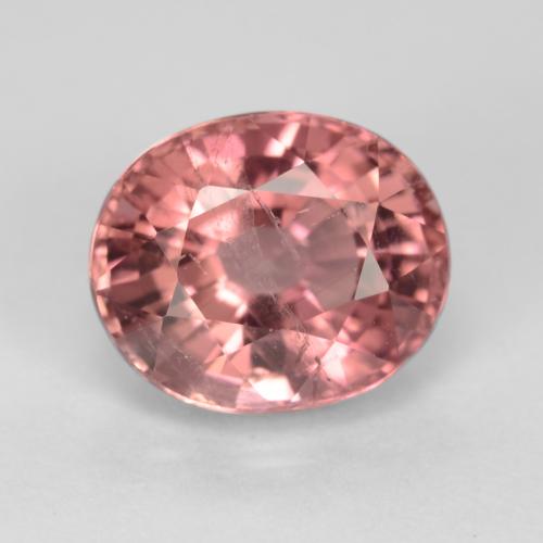 Rojo púrpura Turmalina Gema - 1.6ct Forma ovalada (ID: 543573)