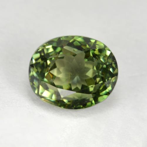 Dark Green Tourmaline Gem - 1.3ct Oval Facet (ID: 562800)