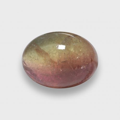Bi-color Tourmaline Gem - 2.5ct Oval Cabochon (ID: 580110)