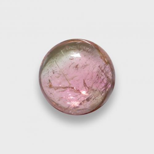 Bicolore Tourmaline gemme - 1.6ct Cabochon rond (ID: 580114)