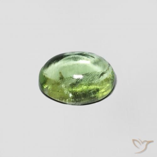 Tourmaline Gemstone in 8 x 6 mm (calibrated) Size for Sale, Tourmaline Stone in Warm Green Color