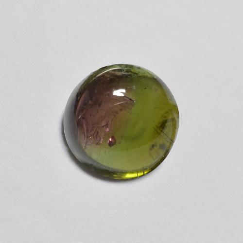 1,4 ct runder zweifarbiger Turmalin aus Mosambik, Größe 6,5mm, natürlicher Edelstein, Transparent Reinheit, 1 Stück runder Turmalin, Mohs-Härte von 7 - 7,5 Geeignet für den täglichen Gebrauch im Schmuck , Jahr des Tiger-Edelstein, Photo A