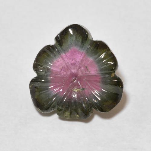 5.23ct Natural Watermelon Tourmaline, Flower Cut, Transparent