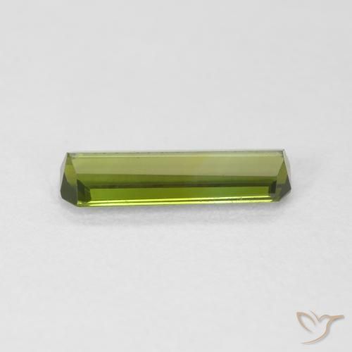 Tourmaline Gemstone in 10.9 x 3.4 mm Size for Sale, Tourmaline Stone in Medium Green Color