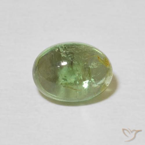 1.51ct Natural Medium Green Tourmaline, Oval, Transparent, Photo A