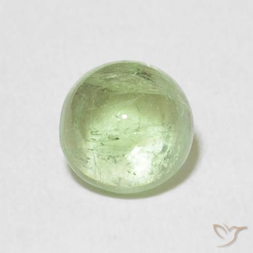 1.29 ct Green Tourmaline Gemstone, Tourmaline Gem in Round Cabochon Shape for Sale.