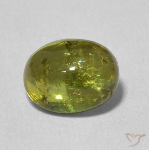 1.42ct Natural verde quente Turmalina, oval, Transparente, Photo A