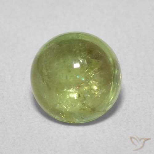 1.61ct Natural Olive Green Tourmaline, Round, Transparent