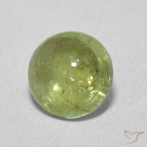1.61 ct Green Tourmaline Stone, Natural Tourmaline in Round Cabochon Shape for Sale