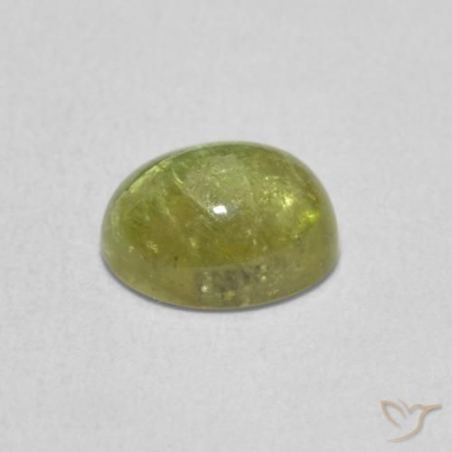 Tourmaline Gemstone in 7 x 5.6 mm Size for Sale, Tourmaline Stone in Yellowish Green Color