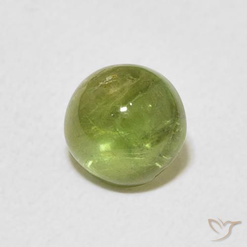 1.24 ct Green Tourmaline Stone, Natural Tourmaline in Round Cabochon Shape for Sale