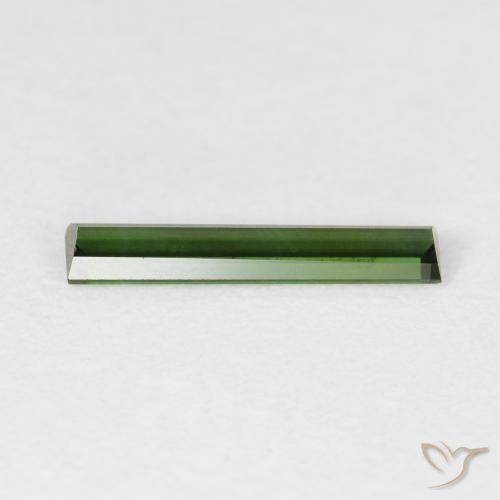 Tourmaline Gemstone in 14.2 x 2.8 mm Size for Sale, Tourmaline Stone in Forest Green Color