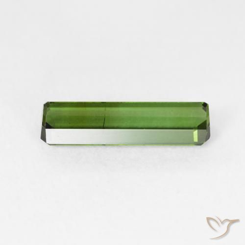 Tourmaline Gemstone in 12.5 x 3.7 mm Size for Sale, Tourmaline Stone in Forest Green Color