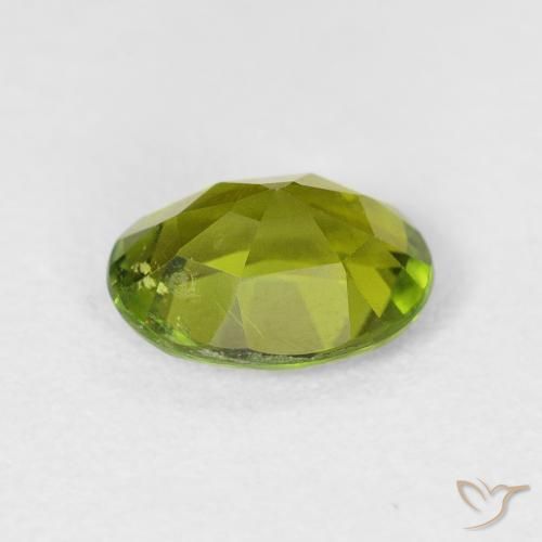 Tourmaline Gemstone in 8.5 x 6.4 mm Size for Sale, Tourmaline Stone in Warm Forest Green Color
