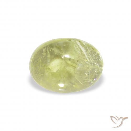 1.45ct Natural Lime Green Tourmaline, Oval, Transparent, Photo A