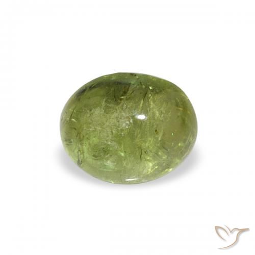 0.79ct Natural Medium Green Tourmaline, Oval, Transparent