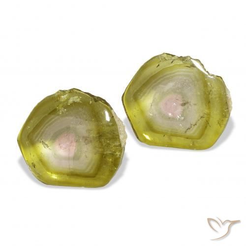 7.05 ctw Multicolor Tourmaline Stones, Natural Tourmaline in Fancy Slice Shape for Sale