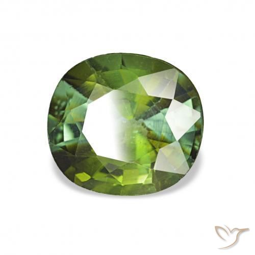 1.44 ct Green Tourmaline Stone, Natural Tourmaline in Cushion-Cut Shape for Sale