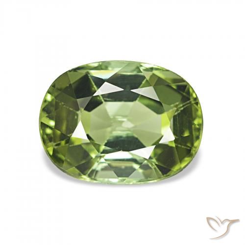 1.65ct Forest Green Tourmaline, Cushion, VS