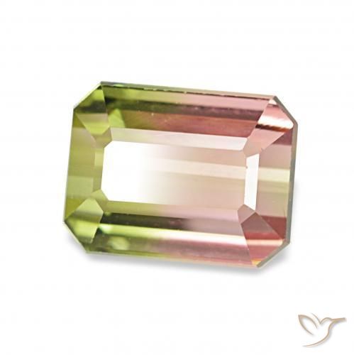 1.55 ct Multicolor Tourmaline Stone, Natural Tourmaline in Octagon Step Cut Shape for Sale