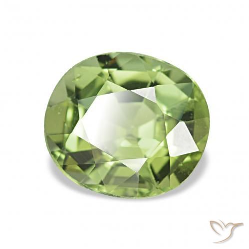1.31 ct Green Tourmaline Stone, Natural Tourmaline in Oval Facet Shape for Sale