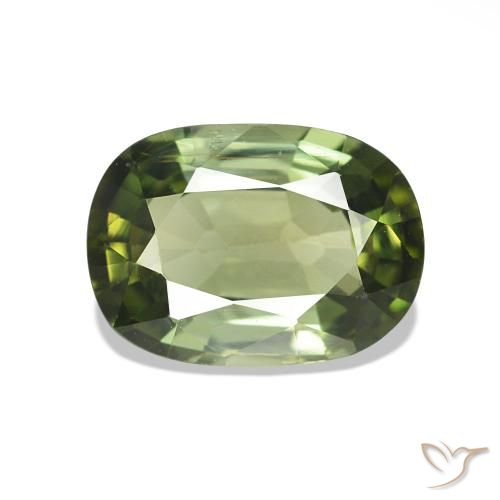 1.55ct Forest Green Tourmaline, Cushion, VS
