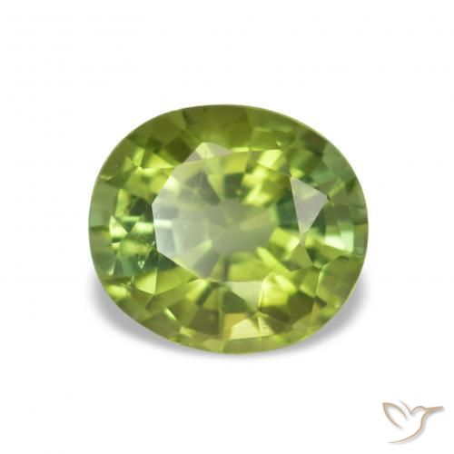 1.46 ct Green Tourmaline Stone, Natural Tourmaline in Oval Facet Shape for Sale