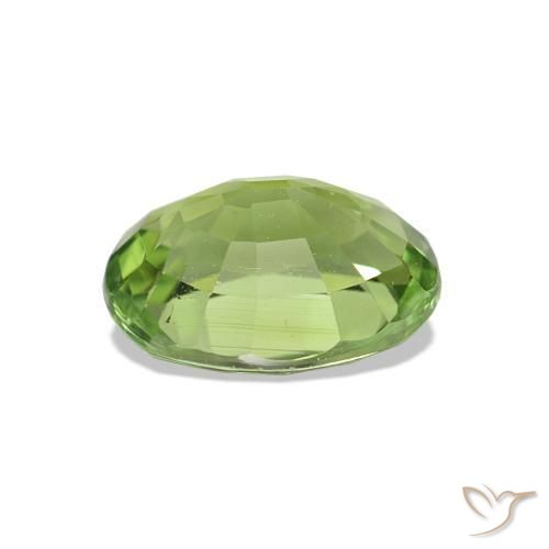 Tourmaline Gemstone in 8.1 x 6.5 mm Size for Sale, Tourmaline Stone in Medium Green Color