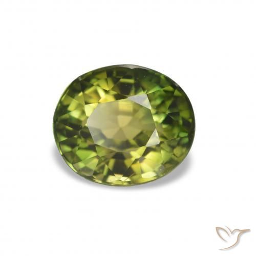 1.58 ct Green Tourmaline Stone, Natural Tourmaline in Oval Facet Shape for Sale
