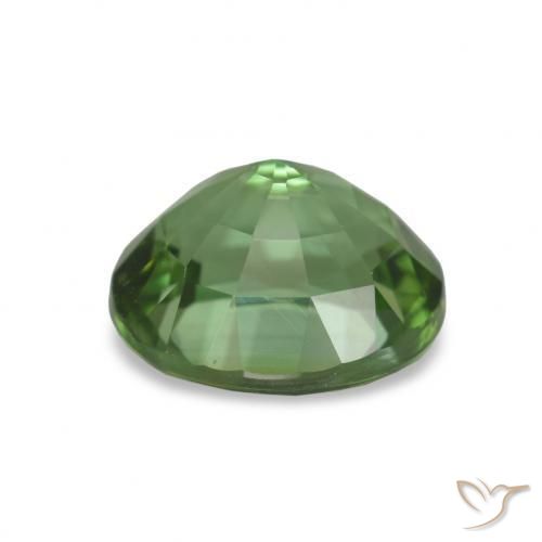 Tourmaline Gemstone in 7.9 x 7 mm Size for Sale, Tourmaline Stone in Medium Green Color